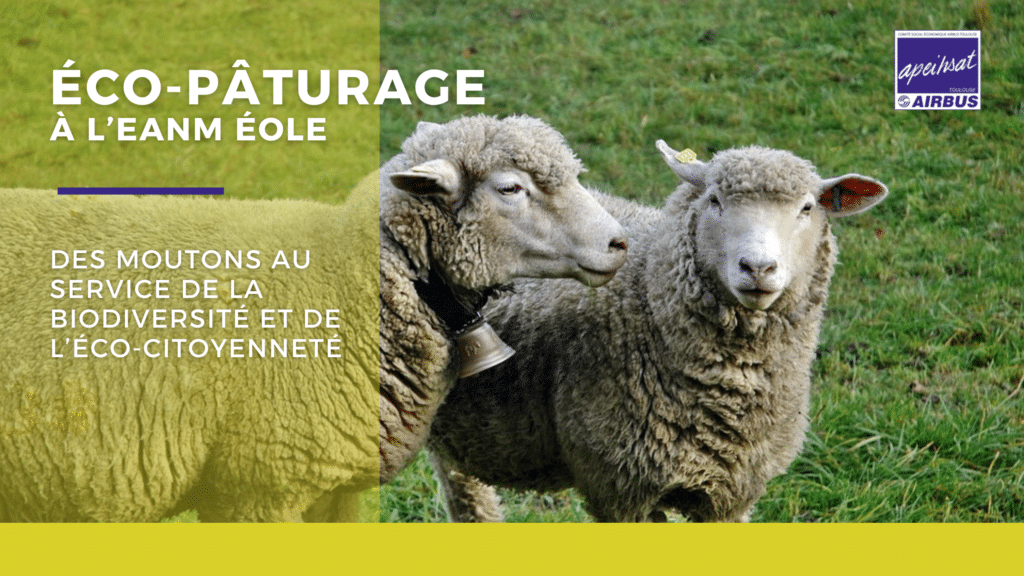 Apeihsat_écopaturage_eanm Eole